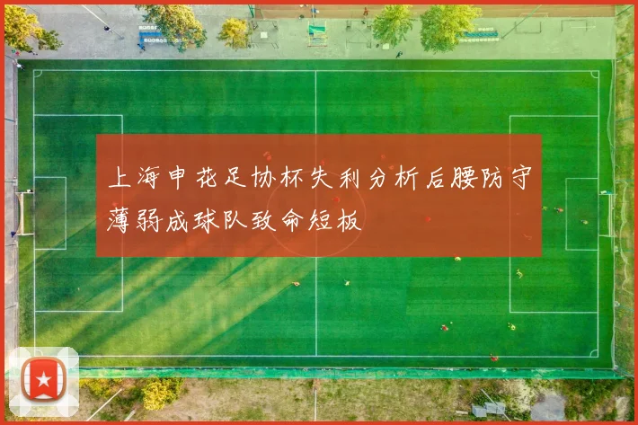 上海申花足协杯失利分析后腰防守薄弱成球队致命短板