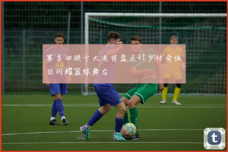 赛季回顾十大老将盘点41岁传奇依旧闪耀篮球舞台