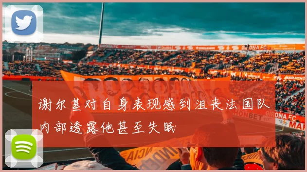 谢尔基对自身表现感到沮丧法国队内部透露他甚至失眠