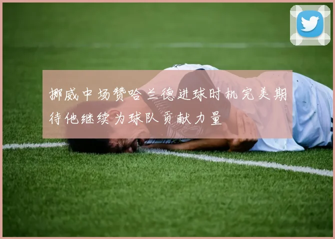 挪威中场赞哈兰德进球时机完美期待他继续为球队贡献力量